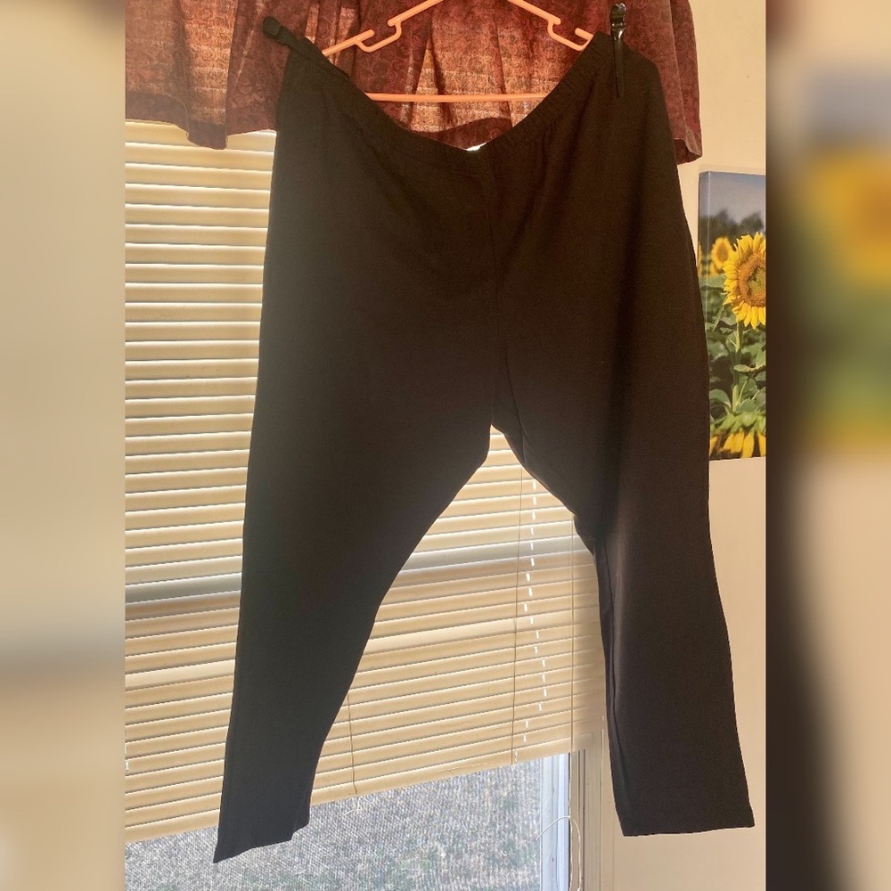 Plus Size Black Leggings ( Never Worn)
